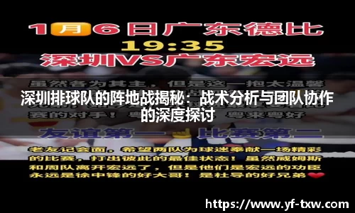 深圳排球队的阵地战揭秘：战术分析与团队协作的深度探讨